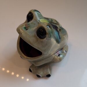 Vintage Ceramic Frog Scrubber Holder